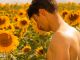 images/whatson2024/MGFF-CBR/Sunflower-Gay-Film-FUSE-Magazine.jpg