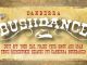 images/whatson2023/Cannberra-gay-LGBTIQ-Bushdance.jpg